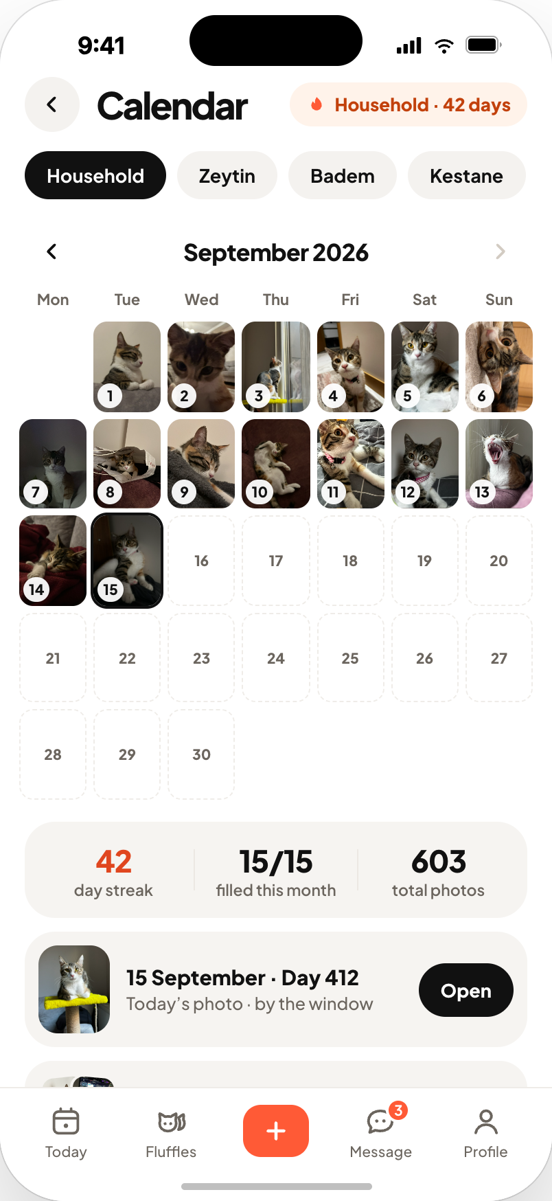 Calendar filled with daily photos